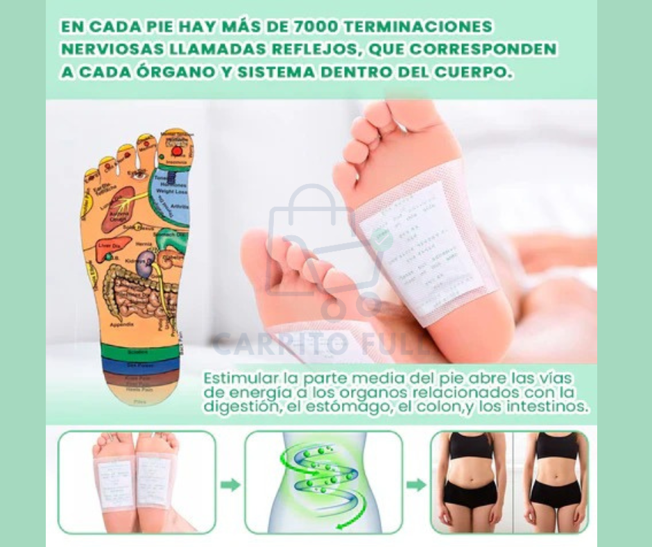 Parche Desintoxicante Kinoki